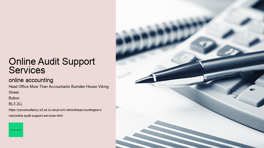 Online Audit Support Services